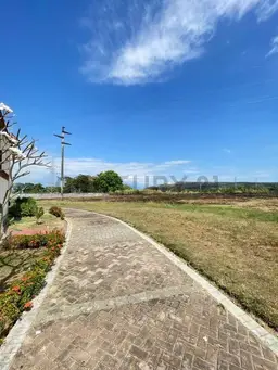Vista 10