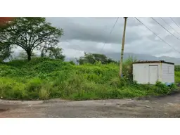 View 4