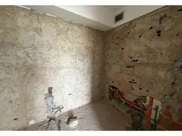 Vista 19