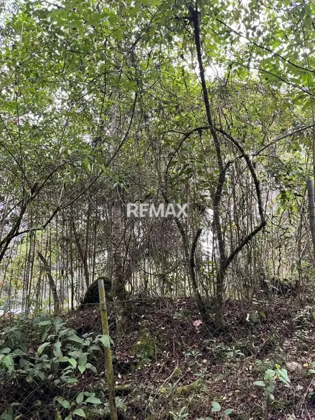 Terreno en Venta - 2