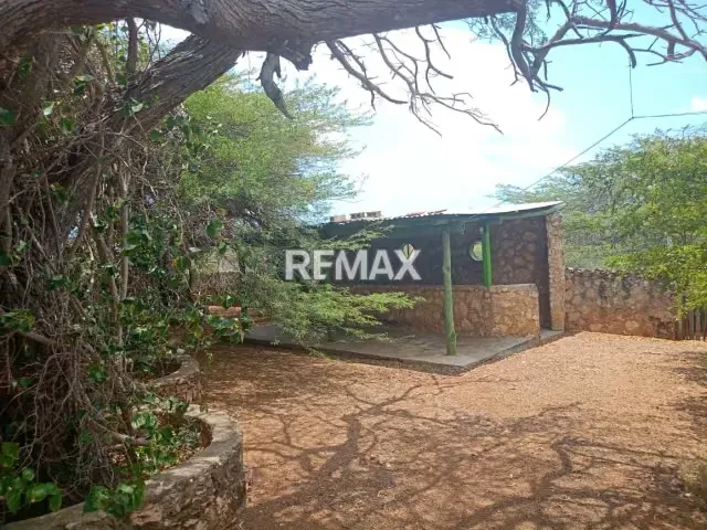Finca en Venta, Buena Vista, Municipio Falcón - 10