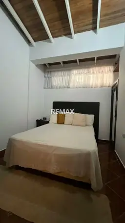 Vista 19