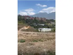 Vista 11