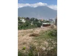 Vista 10