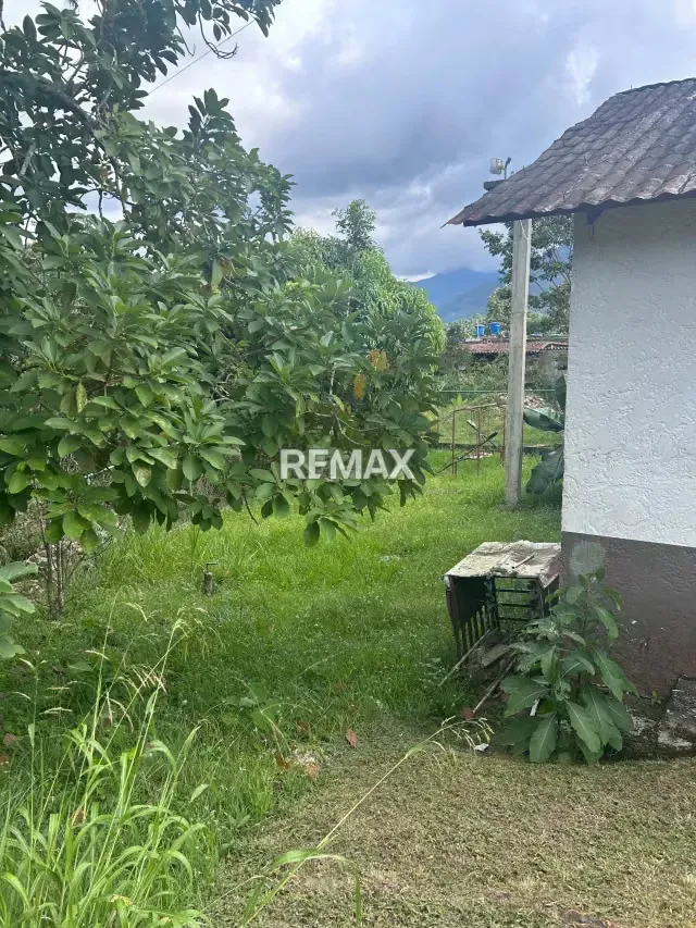 Oportunidad de inversión Casa de campo en Escuque sector Juan Díaz - 3