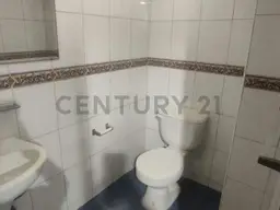 Vista 17