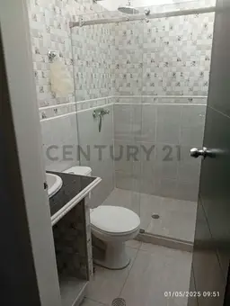Vista 6