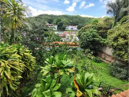 View 29