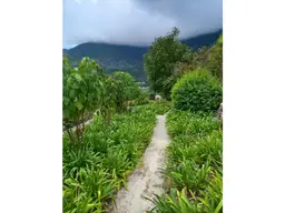 View 23