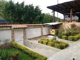 Vista 41