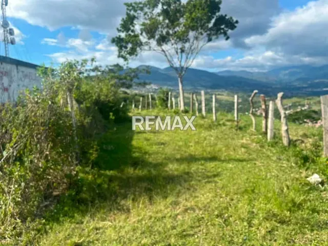 Terreno. Venta. El Valle - 5