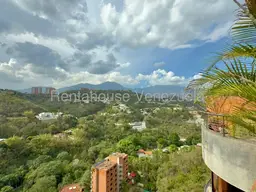 Vista 21