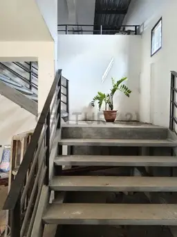Vista 6