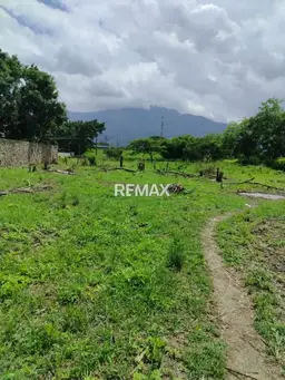 Vista 4