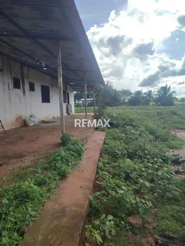 Bello Terreno agricola tipo finca con amplia Casa ubicado En El Tigre Estado Anzaotegui.