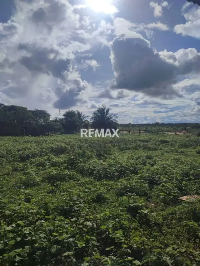 Bello Terreno agricola tipo finca con amplia Casa ubicado En El Tigre Estado Anzaotegui. - 11