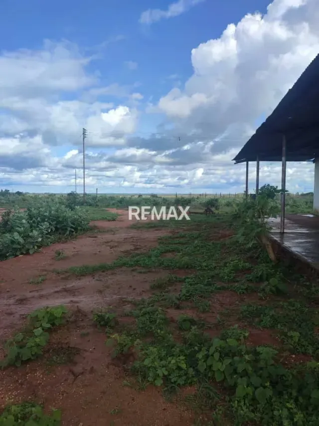 Bello Terreno agricola tipo finca con amplia Casa ubicado En El Tigre Estado Anzaotegui. - 3