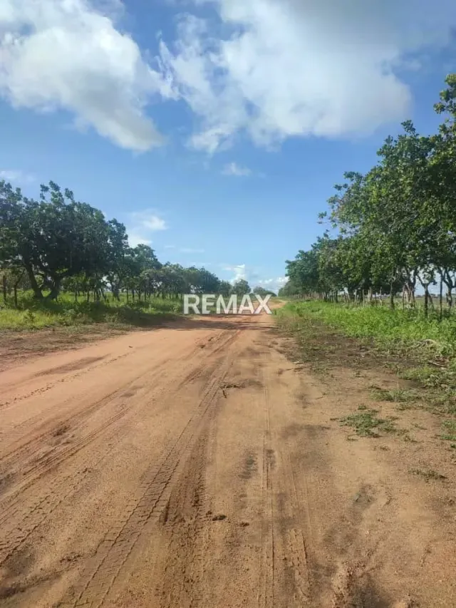 Bello Terreno agricola tipo finca con amplia Casa ubicado En El Tigre Estado Anzaotegui. - 4