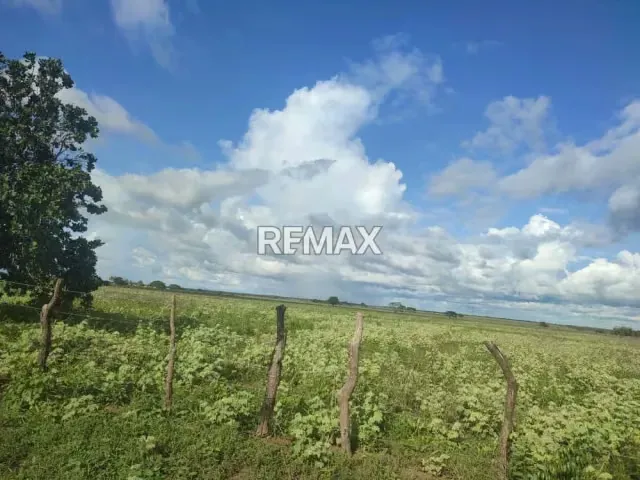 Bello Terreno agricola tipo finca con amplia Casa ubicado En El Tigre Estado Anzaotegui. - 10