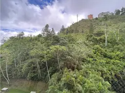 Vista 64