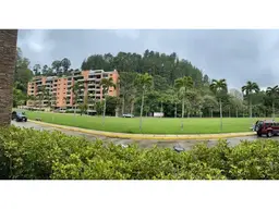 Vista 81