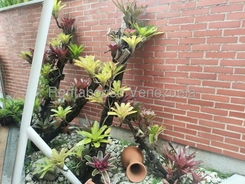 Casa (1 Nivel) en Venta en Lomas de La Lagunita, Distrito Metropolitano - 81
