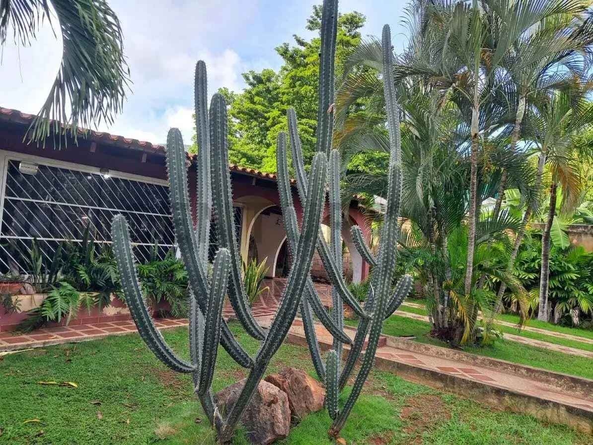 Casa en venta en Puerto La Cruz, urbanización Canta Claro. - 15