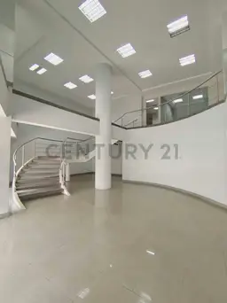Vista 4