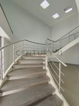 Vista 5