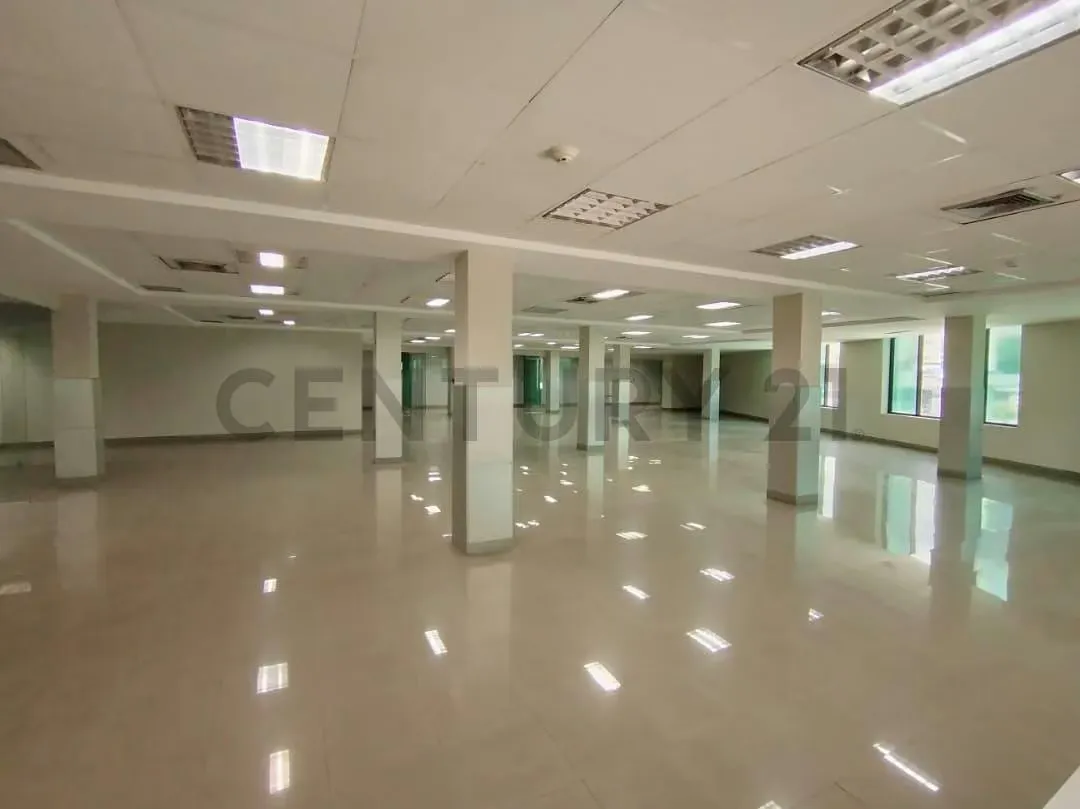 Local Comercial Gran Escala en Venta - 6