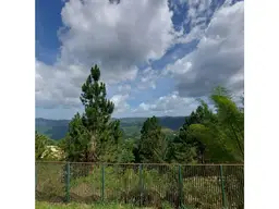 View 19