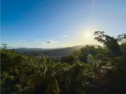 View 4