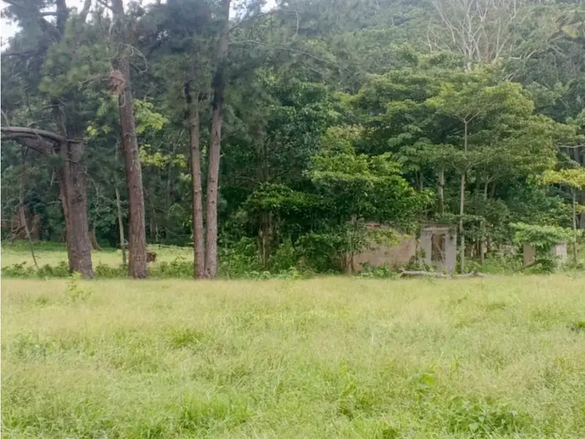 Venta de Terreno en Aguirre 10 hectáreas