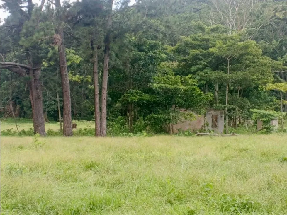 Venta de Terreno en Aguirre 10 hectáreas