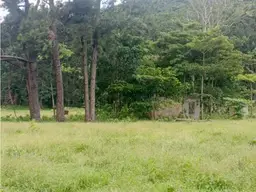 View 1