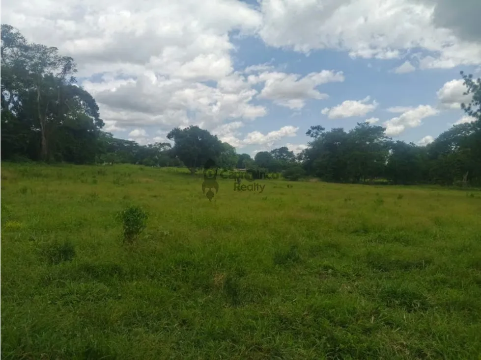 Venta de Terreno en Aguirre 10 hectáreas - 2