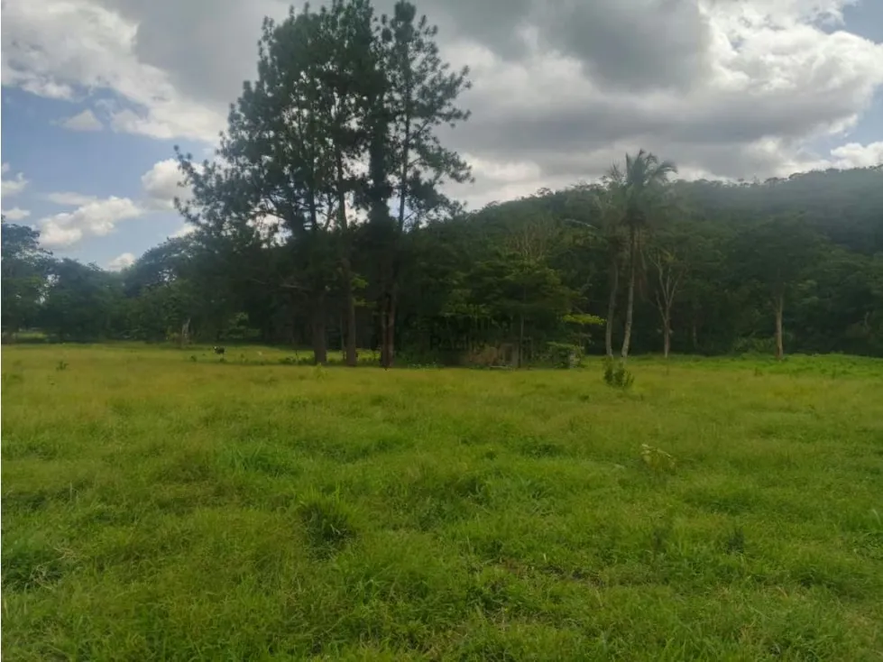 Venta de Terreno en Aguirre 10 hectáreas - 3