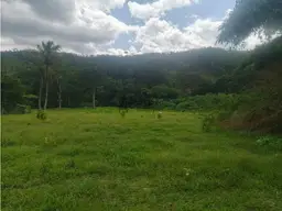 View 4