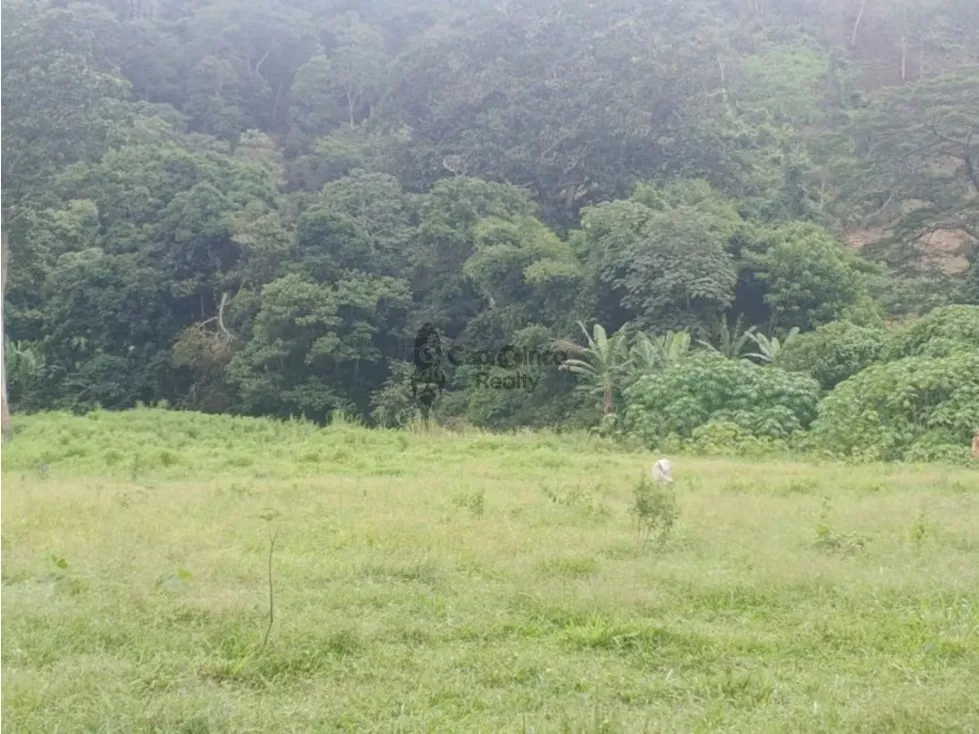 Venta de Terreno en Aguirre 10 hectáreas - 5