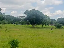 View 6