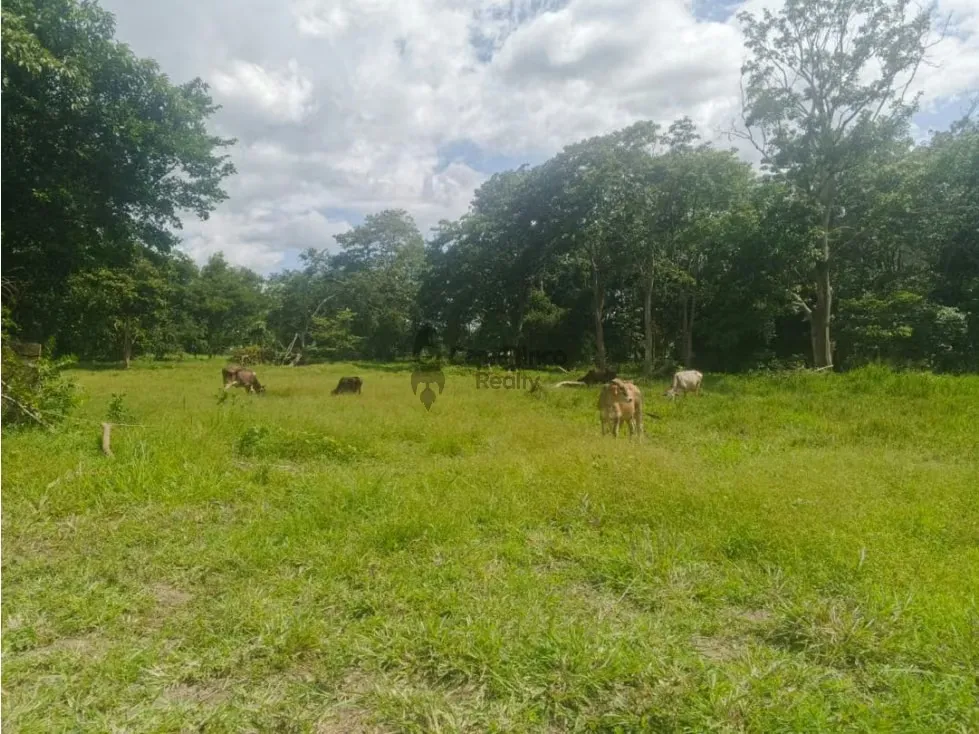 Venta de Terreno en Aguirre 10 hectáreas - 7