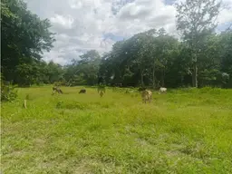 View 7