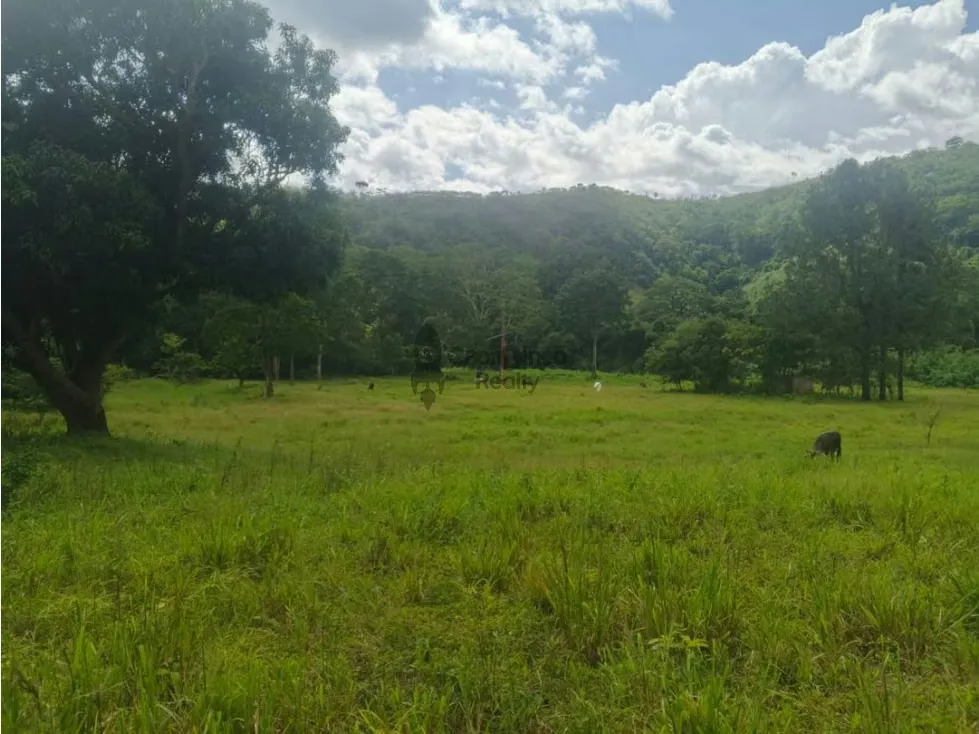 Venta de Terreno en Aguirre 10 hectáreas - 9