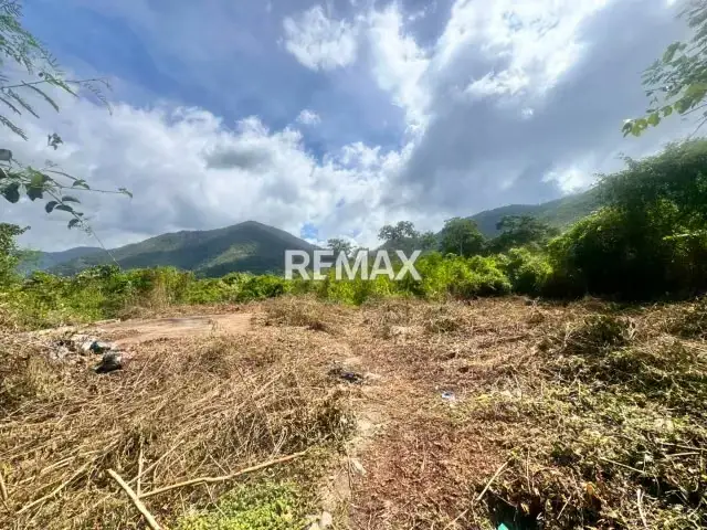 Terreno a la venta sábana libre