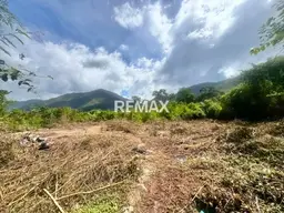 Vista 1