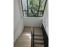 Vista 14