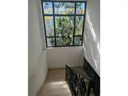 Vista 15