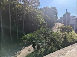 Vista 31