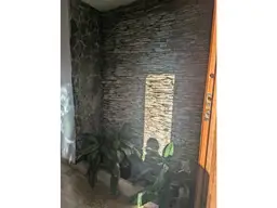 Vista 45