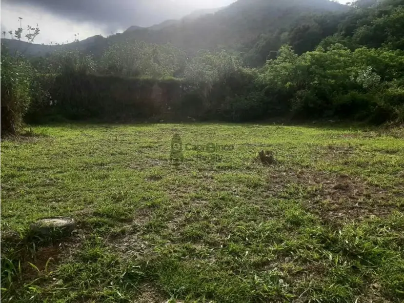 Terreno en Venta Jardín Mañongo